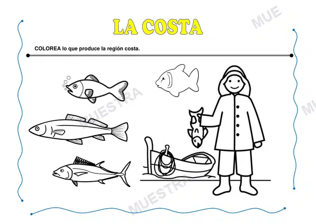 Muestra de Las Tres Regiones del Perú