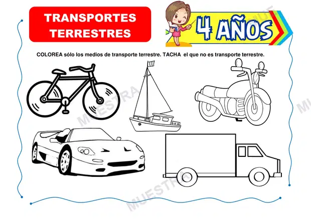 Transportes Terrestres