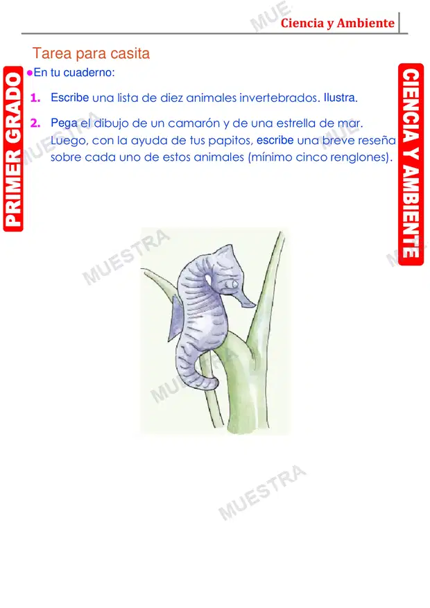 Muestra de Animales que No Tienen Huesos