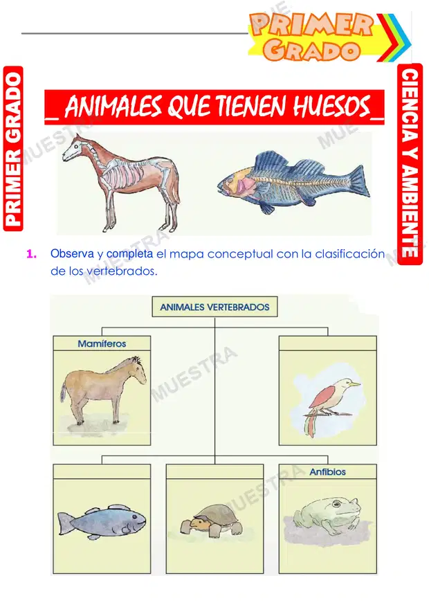 Animales que Tienen Huesos