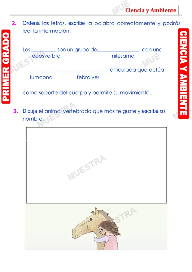 Muestra de Animales que Tienen Huesos