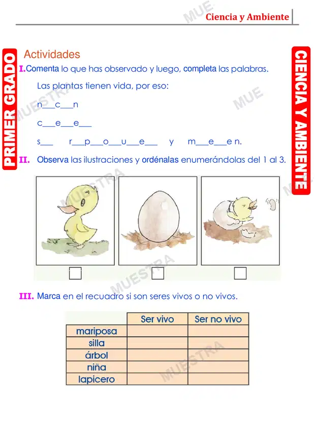 Muestra de Ciclo de Vida de los Seres Vivos