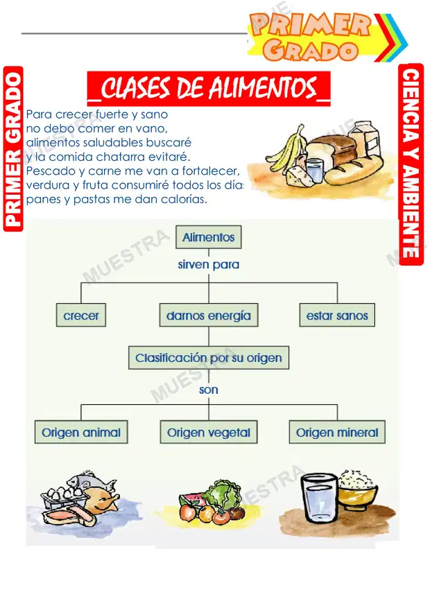 Clases de Alimentos