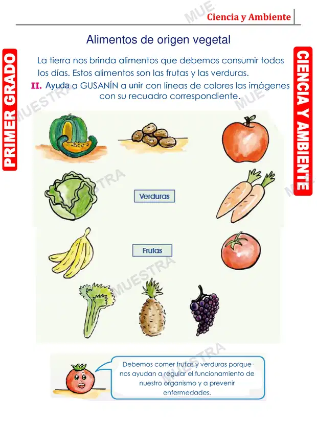 Muestra de Clases de Alimentos