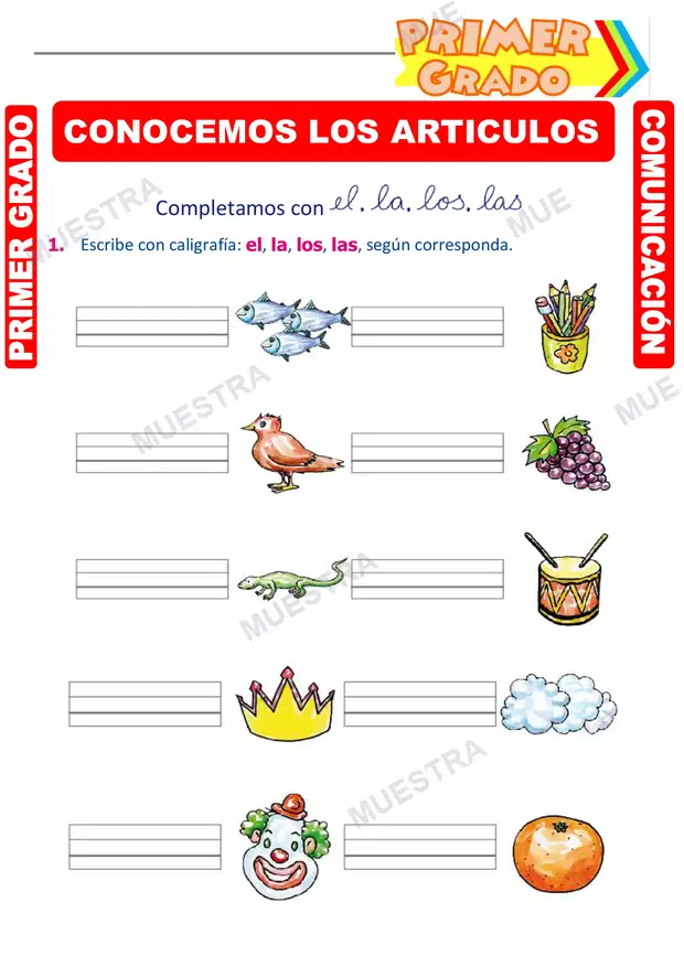Conocemos los Artículos