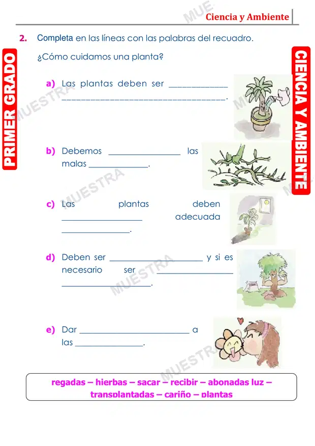Muestra de Cuidado de las Plantas