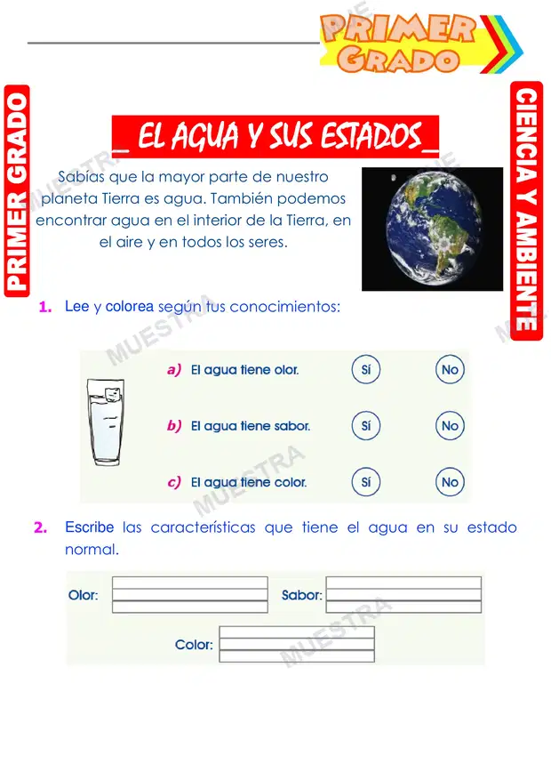 El Agua y sus Estados
