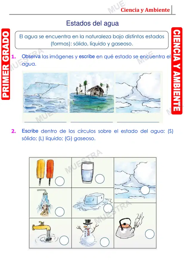 Muestra de El Agua y sus Estados