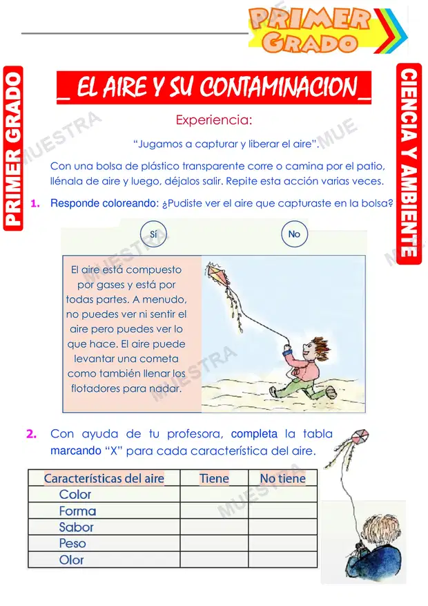 El Aire y su Contaminacion