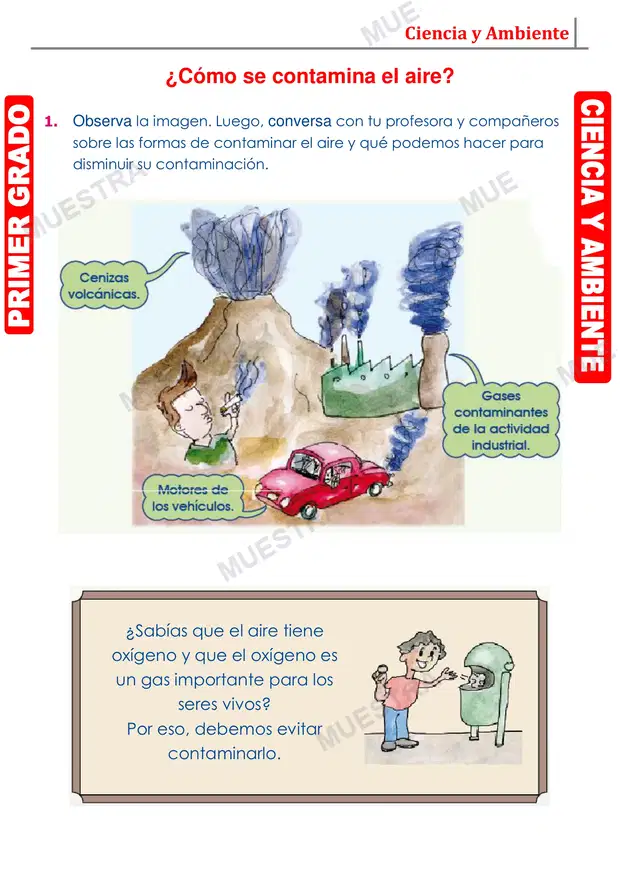 Muestra de El Aire y su Contaminacion
