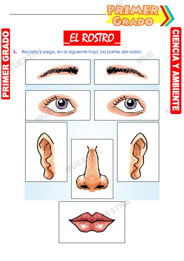 El Rostro
