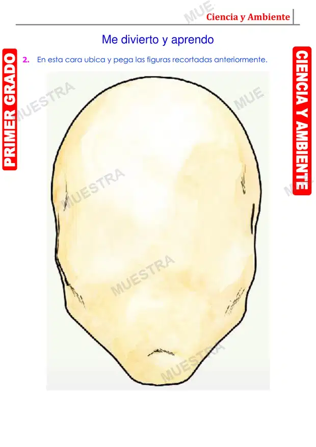 Muestra de El Rostro
