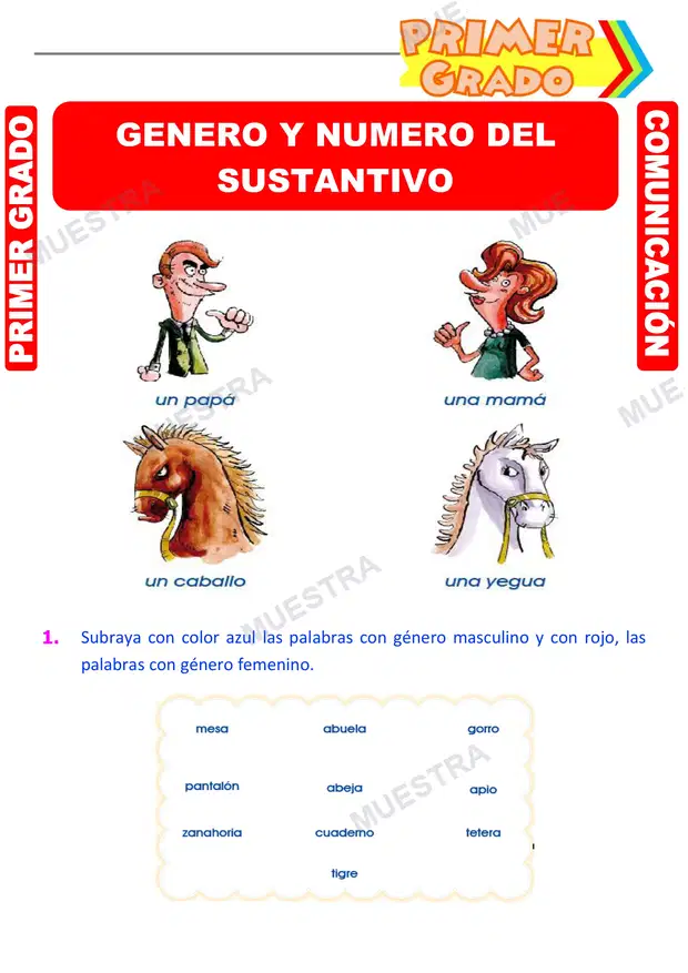Género y Número del Sustantivo