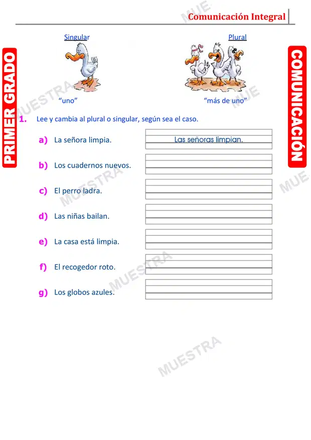 Muestra de Género y Número del Sustantivo