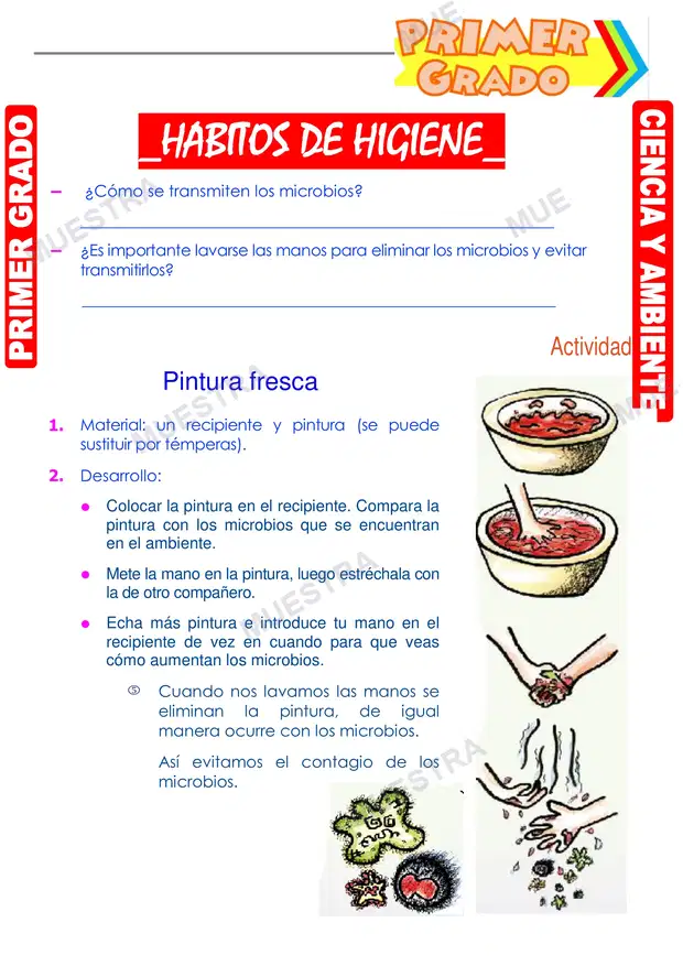 Habitos de Higiene