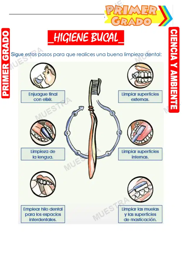 Higiene Bucal