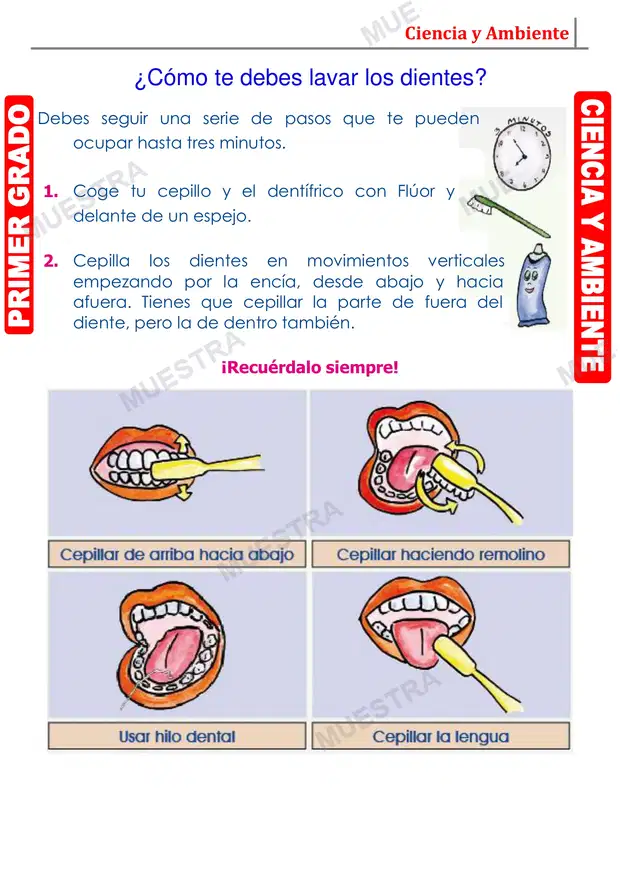 Muestra de Higiene Bucal