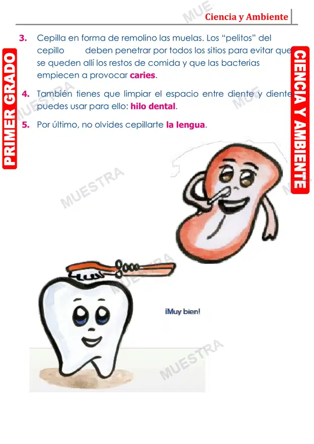 Muestra de Higiene Bucal