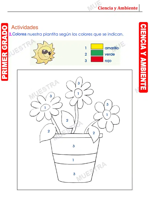 Muestra de La Planta y sus Partes