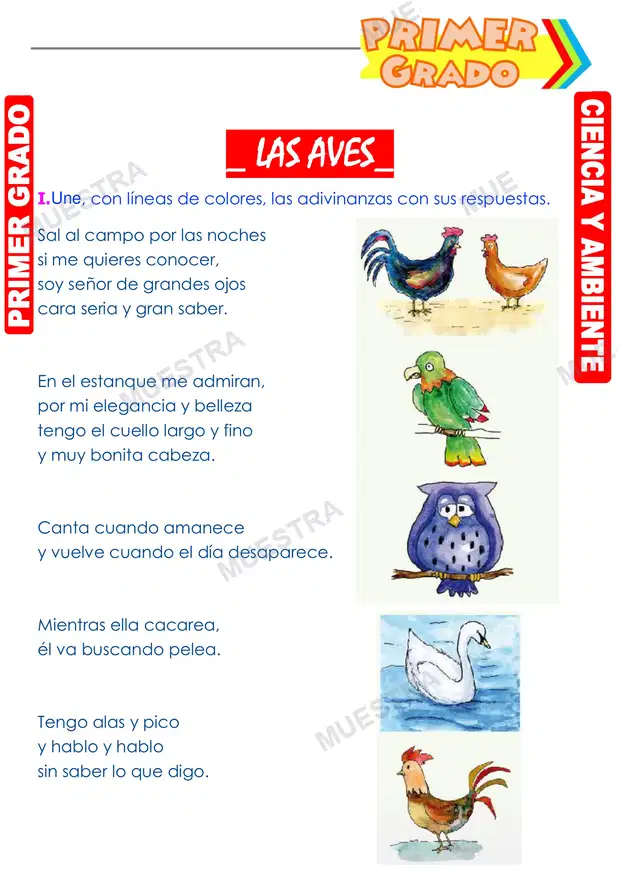 Las Aves
