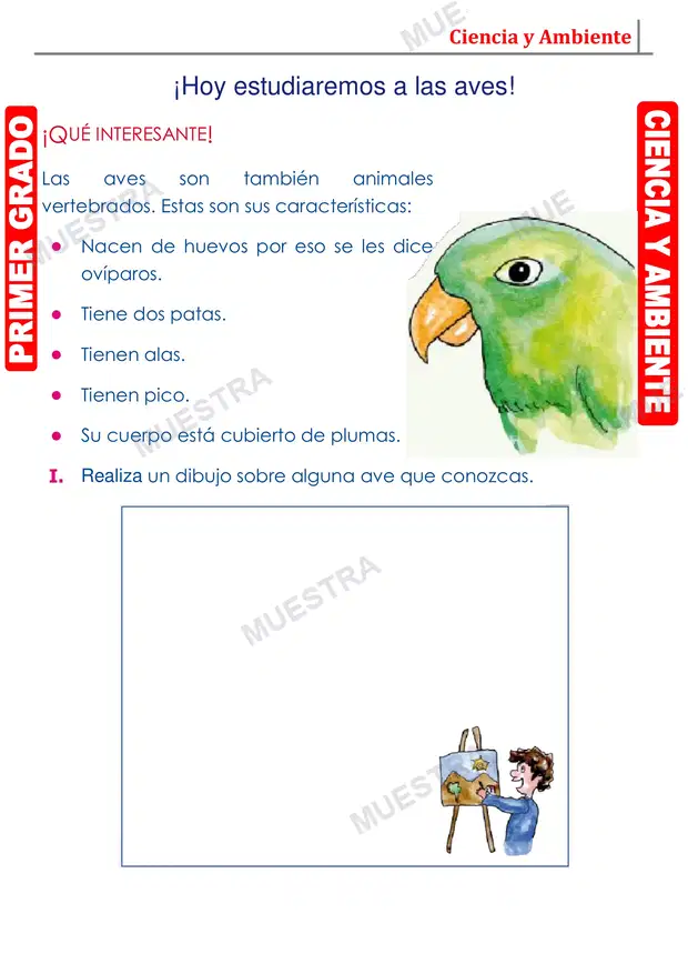 Muestra de Las Aves