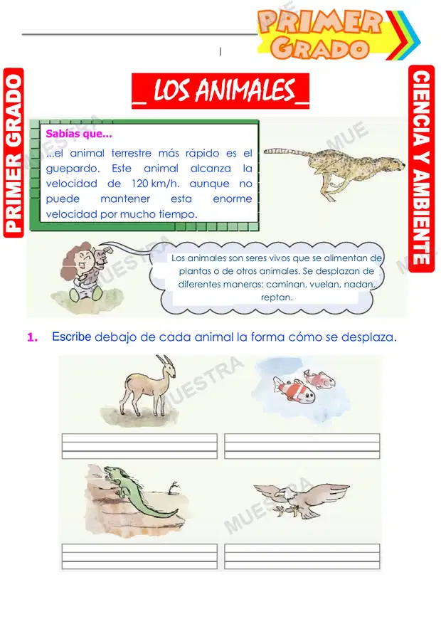 Los Animales