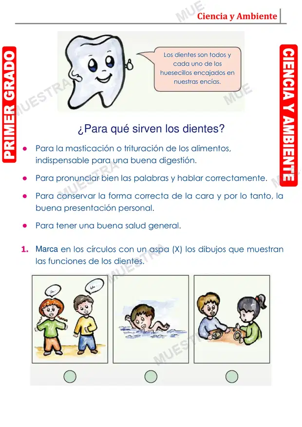 Muestra de Los Dientes