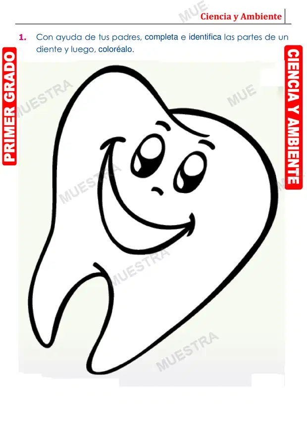Muestra de Los Dientes