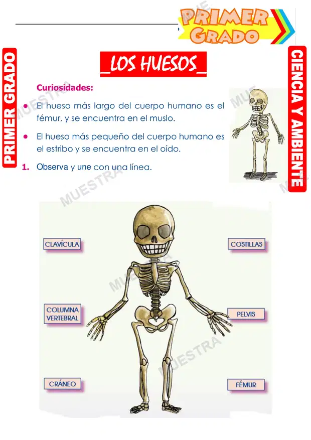 Los Huesos