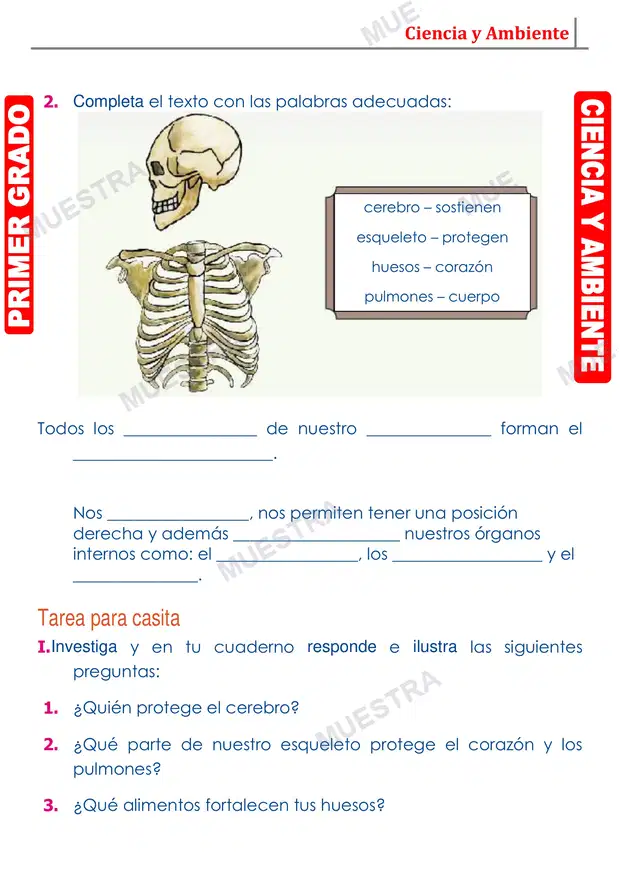 Muestra de Los Huesos