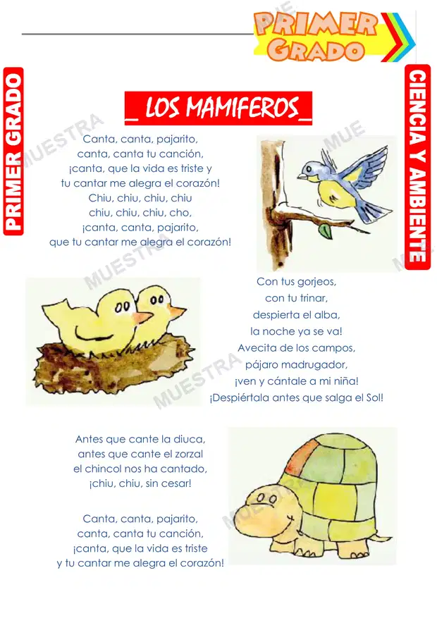 Los Mamiferos