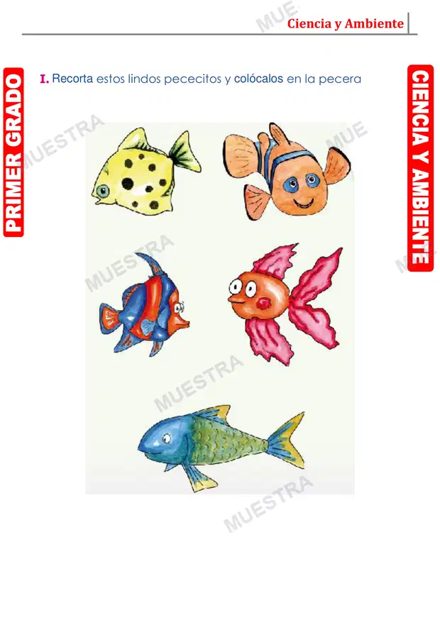 Muestra de Los Peces
