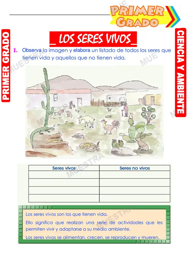 Los Seres Vivos