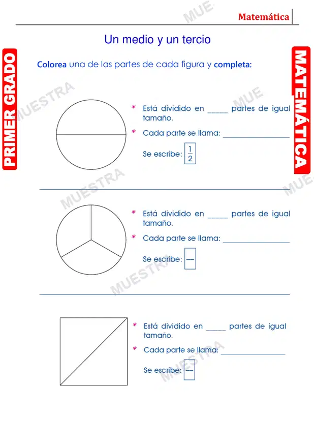 Muestra de Mitad y Tercia