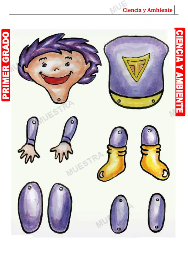 Muestra de Nuestro Cuerpo