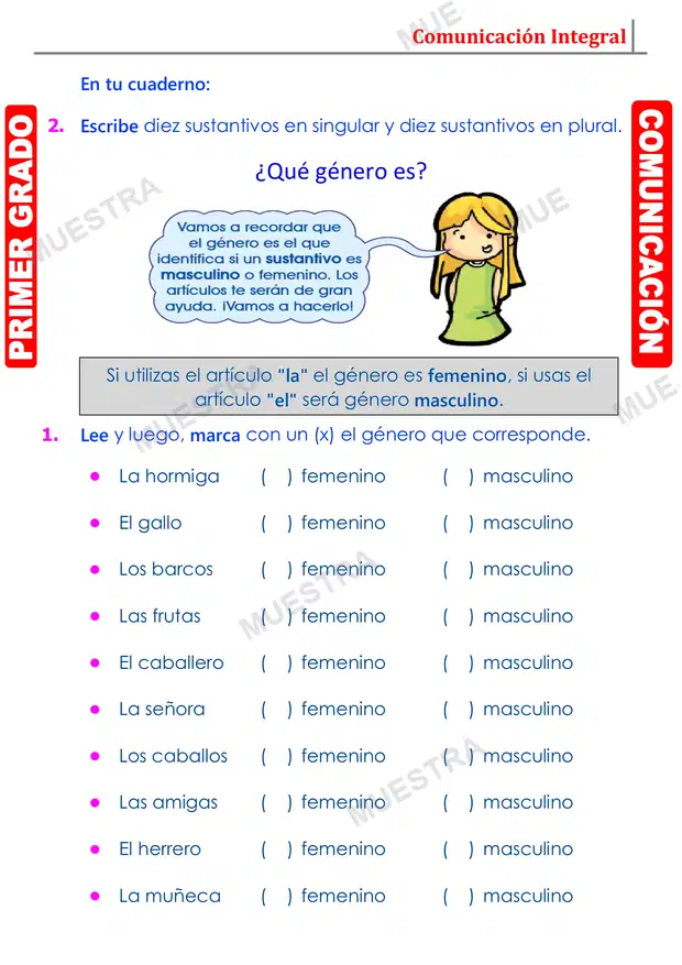 Muestra de Número y Género del Sustantivo