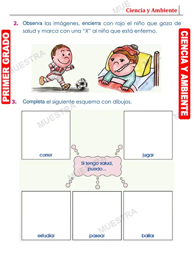 Muestra de Salud y Enfermedad