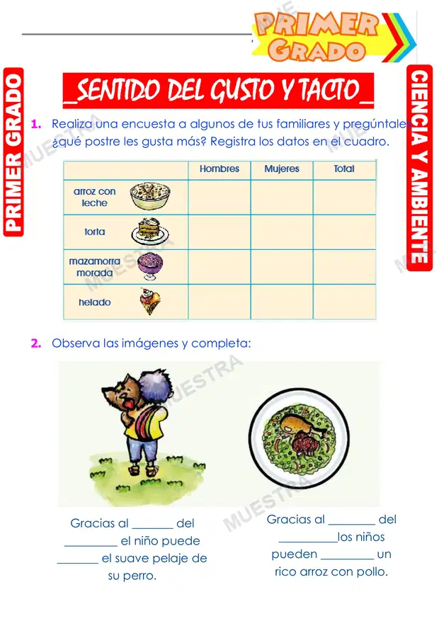 Sentido del Gusto y Tacto