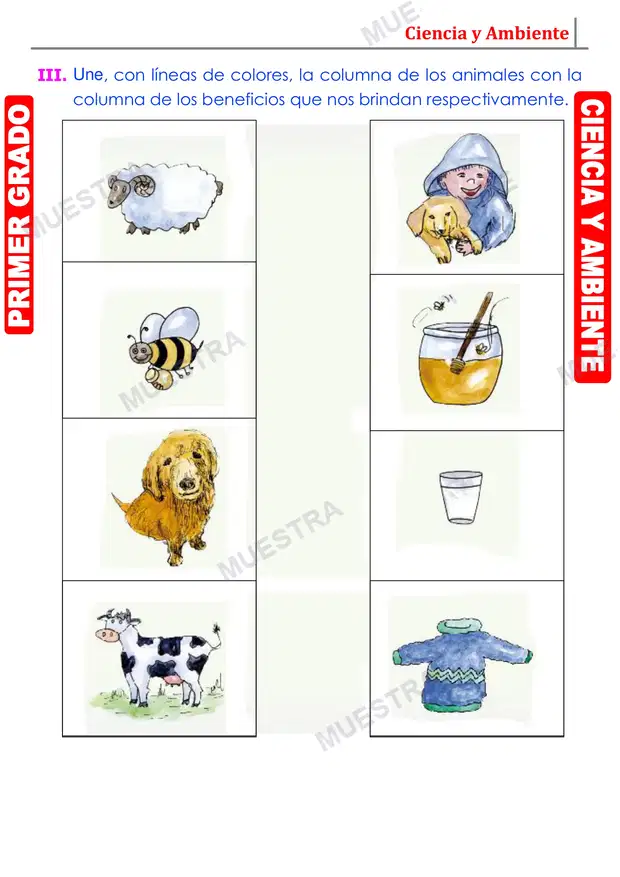 Muestra de Utilidad de los Animales