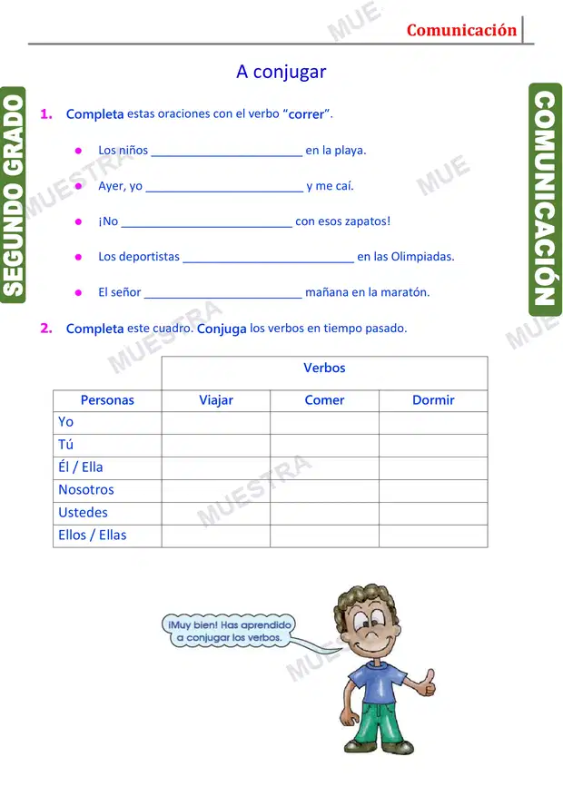 Muestra de Conjugación del Verbo