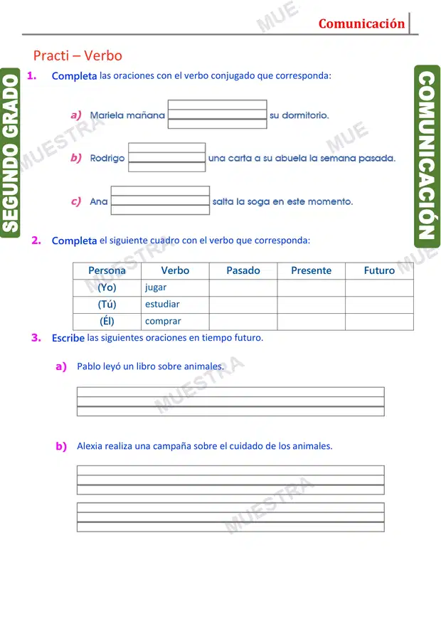 Muestra de Conjugación del Verbo