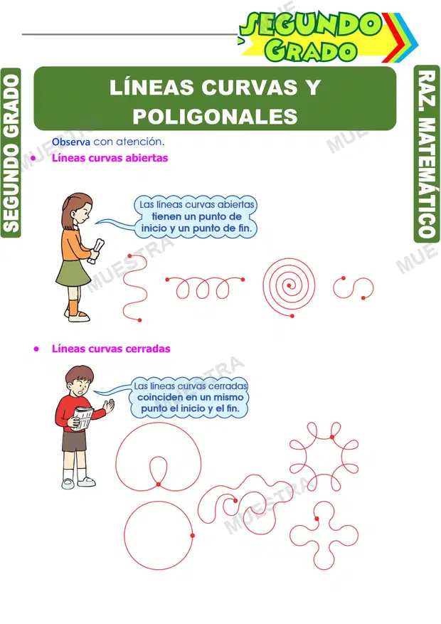 Líneas Curvas y Poligonales (2)