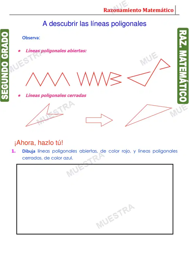 Muestra de Líneas Curvas y Poligonales (2)