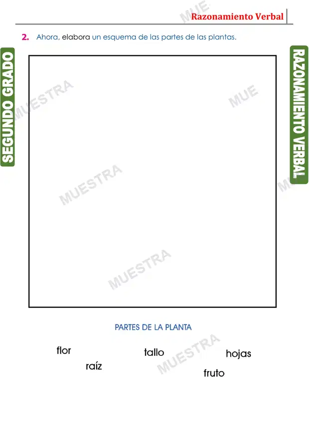 Muestra de Los Esquemas