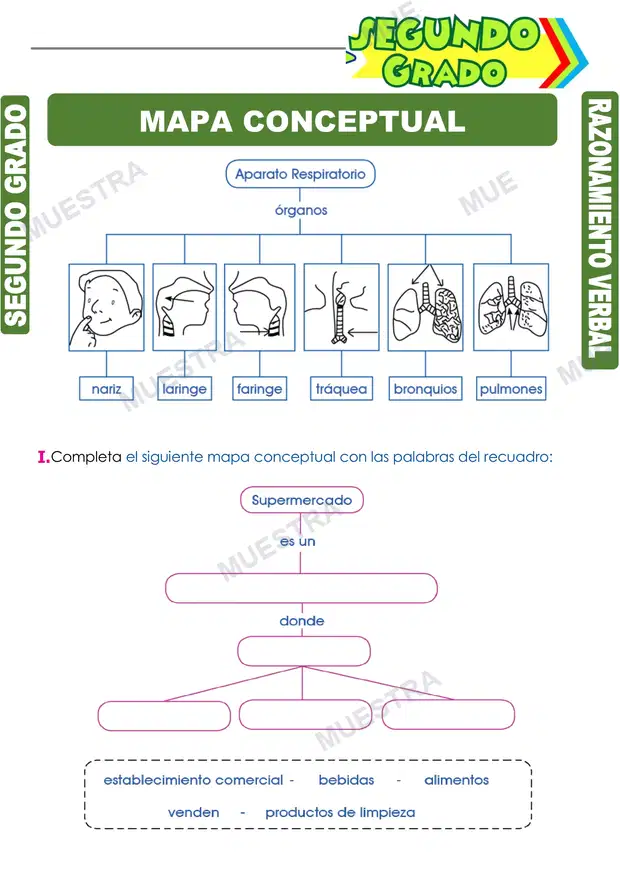 Mapa Conceptual