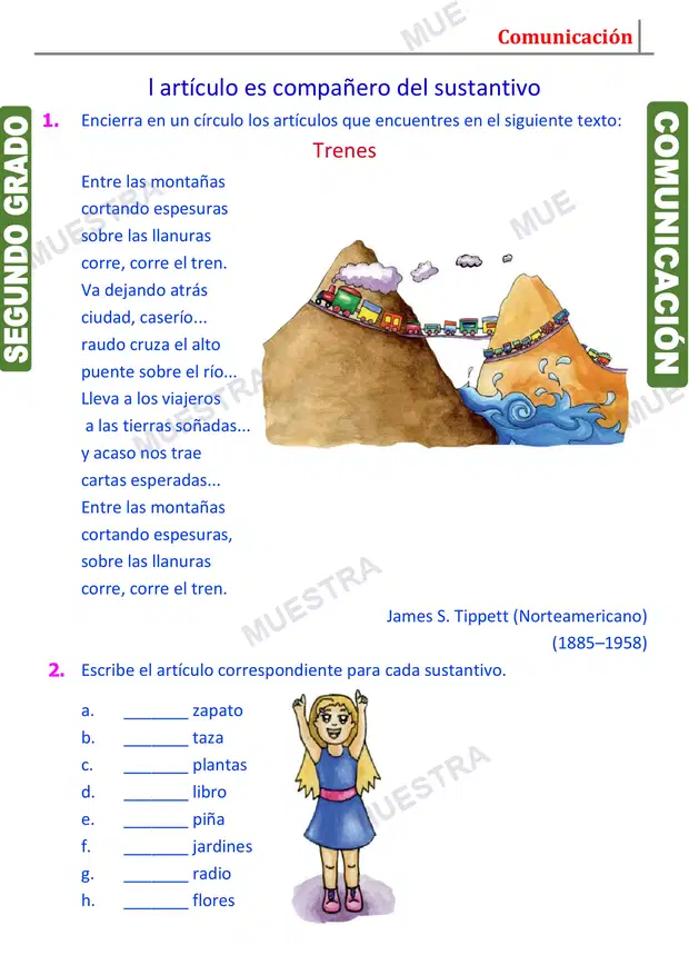Muestra de Número y Género del Sustantivo