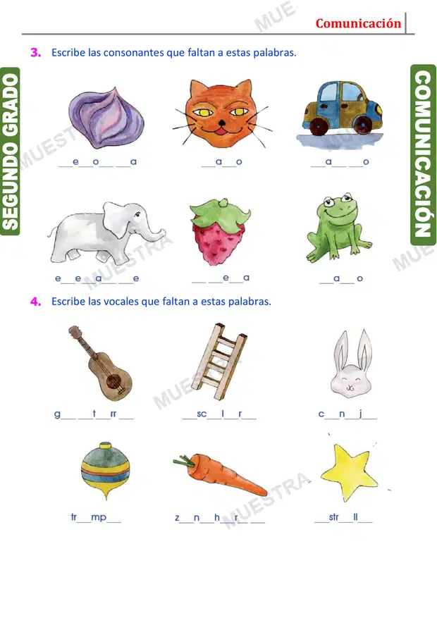 Muestra de Orden Alfabético
