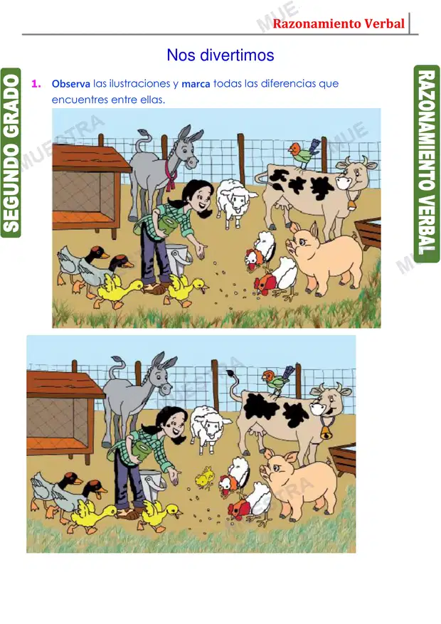 Muestra de Semejanza y Diferencia