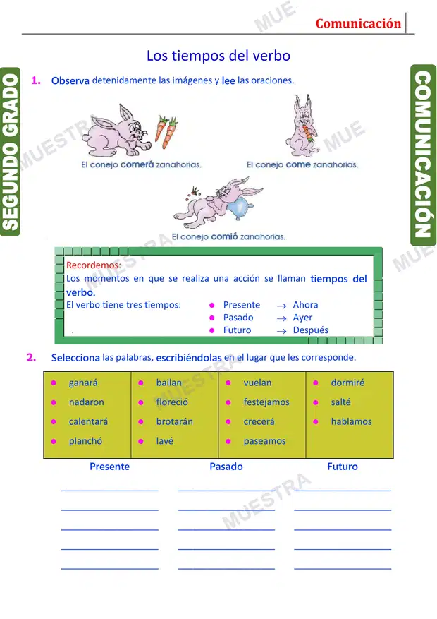 Muestra de Tiempo del Verbo