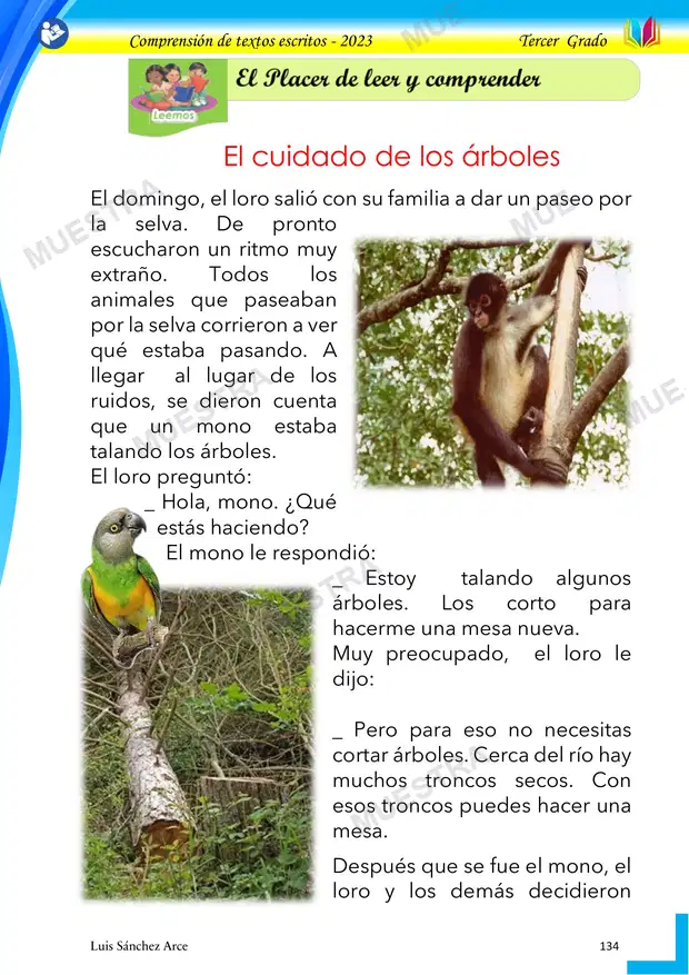28 - el Cuidado de los Arboles